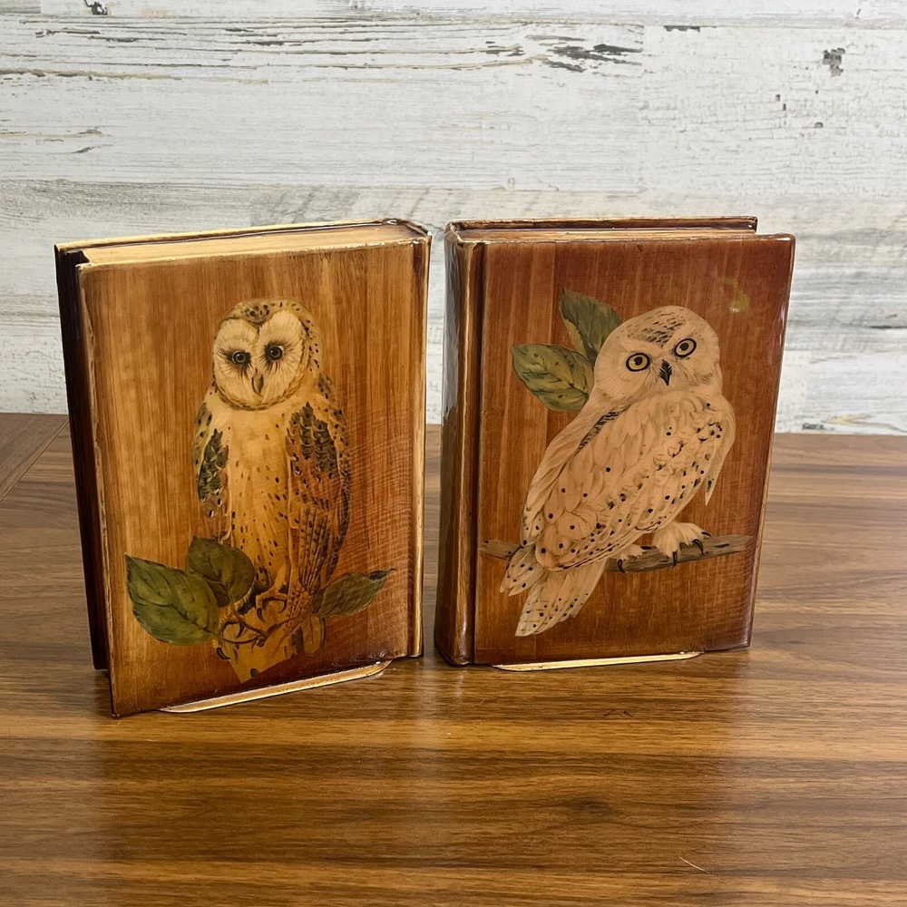 Vintage‎ snowy Owl Barn Owl Handmade Wooden Shellac Book Ends